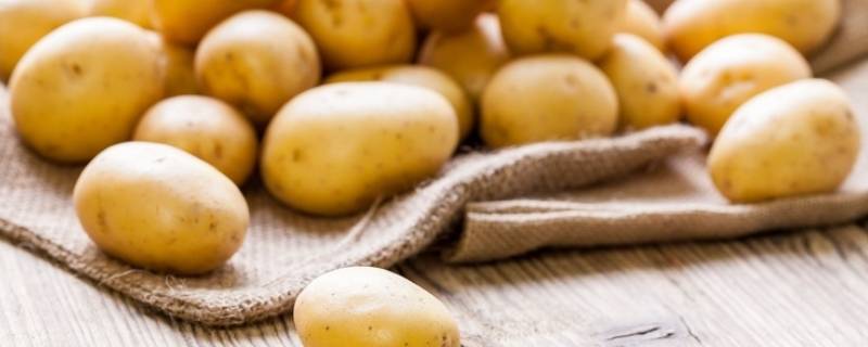 土豆热量是多少 100克土豆热量是多少