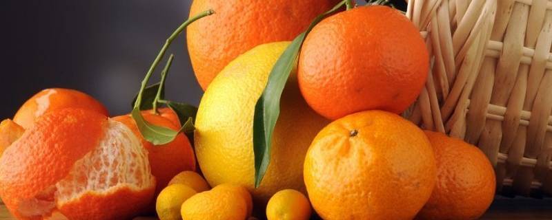 为什么水手常吃柑橘类水果 为什么水手常吃柑橘类水果蚂蚁庄园