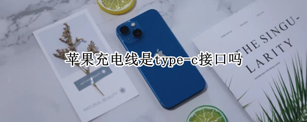 苹果充电线是type-c接口吗（苹果手机充电器是type-c接口吗）