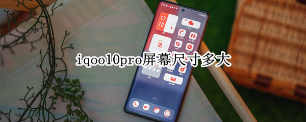 iqoo10pro屏幕尺寸多大（iqoo pro屏幕尺寸）