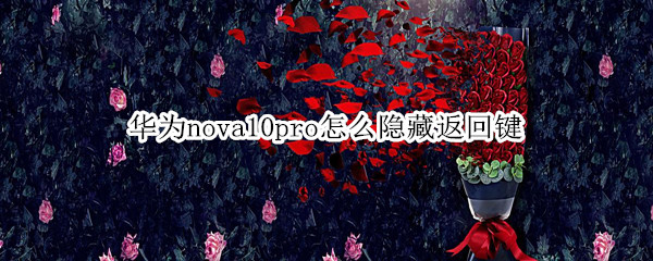 华为nova10pro怎么隐藏返回键（华为mate10pro返回键在哪里）