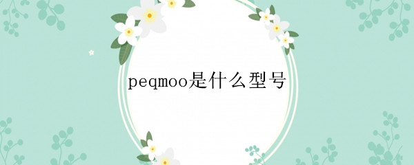 peqmoo是什么型号 oppo手机pemmoo是什么型号