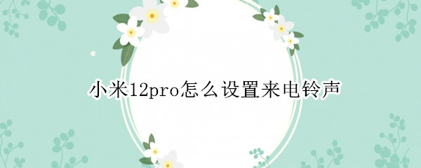 小米12pro怎么设置来电铃声 小米10pro怎么设置来电铃声