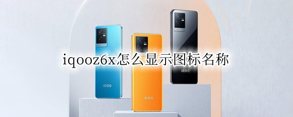 iqooz6x怎么显示图标名称（iqoo7图标显示名字）