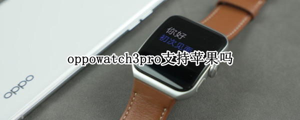 oppowatch3pro支持苹果吗（华为watch3pro和oppowatch2）