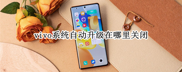 vivo系统自动升级在哪里关闭 vivo手机设置系统升级显示哪里关闭