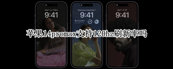 苹果14promax支持120hz刷新率吗 苹果12promax支持120hz刷新率吗