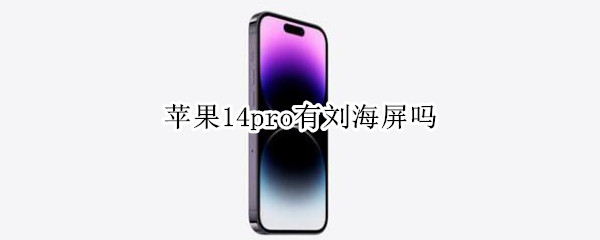 苹果14pro有刘海屏吗（苹果12pro有刘海屏吗）