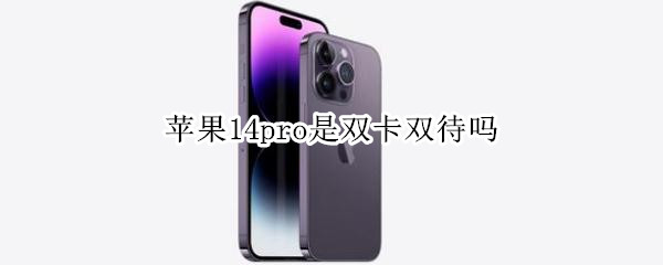 苹果14pro是双卡双待吗 苹果13pro是双卡双待么