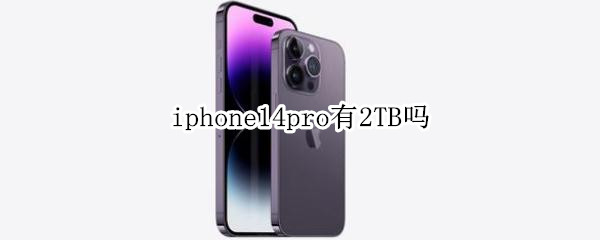 iphone14pro有2TB吗 iphone12pro有256G吗