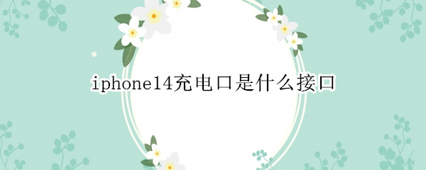 iphone14充电口是什么接口 iphone12充电口是什么接口