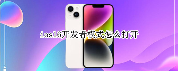 ios16开发者模式怎么打开 ios15开发者选项在哪里打开