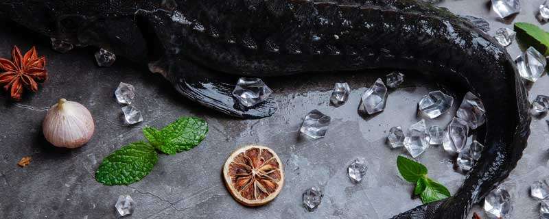 野生黑鱼一年可以长几斤 野生黑鱼一年能长多少斤