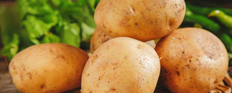 发芽马铃薯中的有毒物质是什么（发芽的马铃薯含有对人体有毒的物质是什么）
