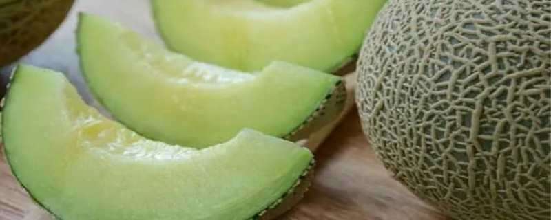 哈密瓜有酒味了还能吃吗 哈密瓜有酒味儿了能吃吗