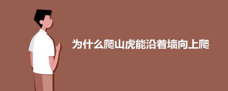 为什么爬山虎能沿着墙向上爬 为什么爬山虎可以"爬"在墙上