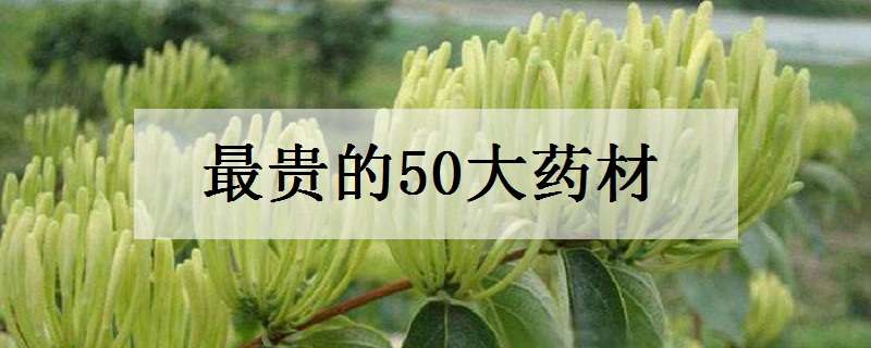 最贵的50大药材