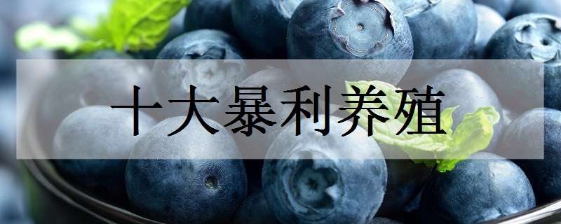 十大暴利养殖 农村十大暴利养殖