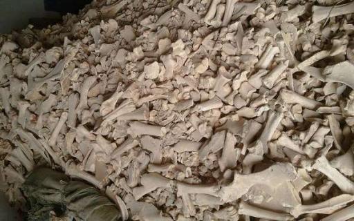 如何制作骨粉肥料（骨粉如何做花肥）