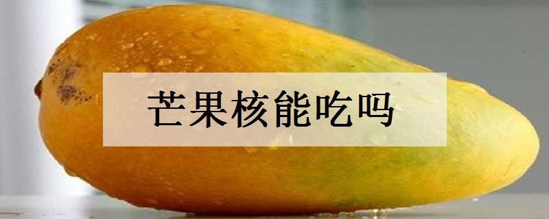 芒果核能吃吗 芒果核能吃吗?
