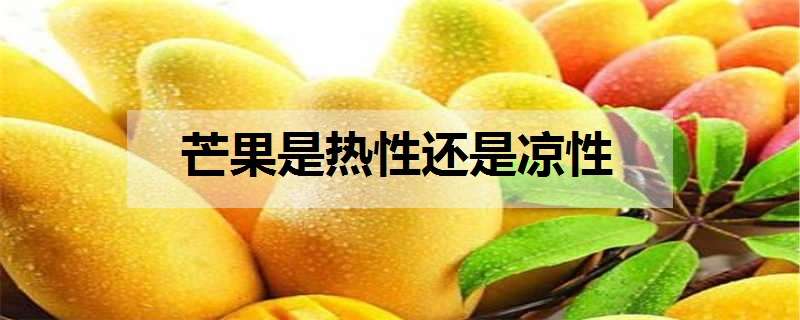 芒果是热性还是凉性（芒果是热性还是凉性经期可以吃吗）