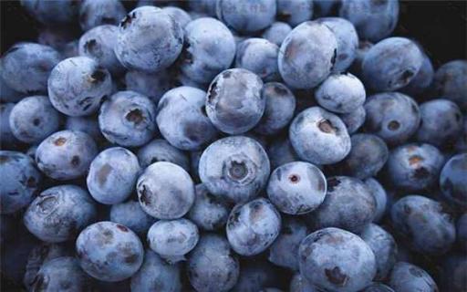 蓝莓怎么吃 蓝莓怎么吃视频教程