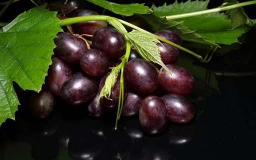 最贵的八种葡萄是什么 你吃过哪几种