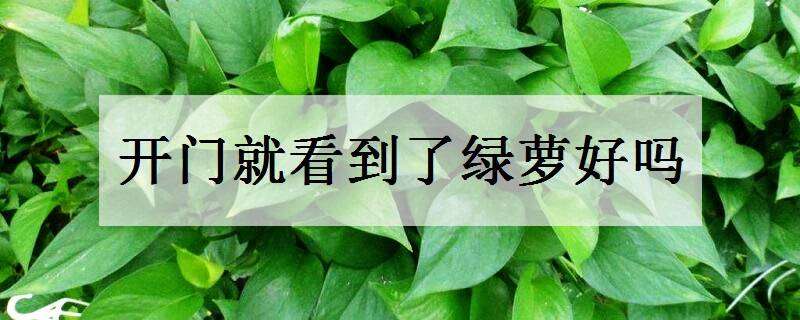 开门就看到了绿萝好吗 进门就看见绿萝好吗
