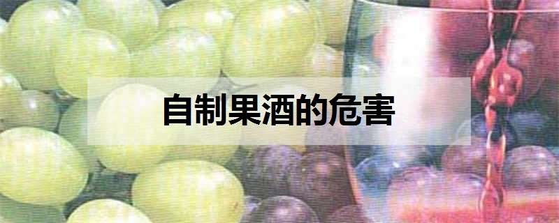 自制果酒的危害 最适合泡酒的8种水果