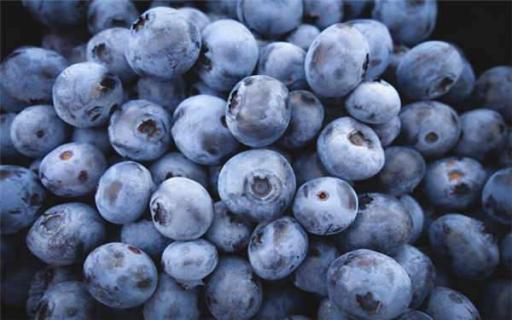 孕妇一天吃多少颗蓝莓好
