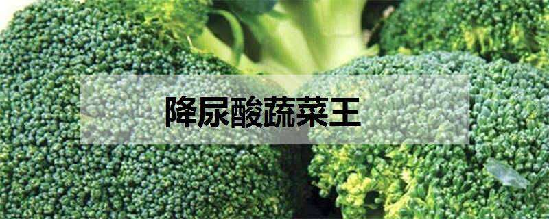 降尿酸蔬菜王（降尿酸蔬菜王玉米须和山楂）