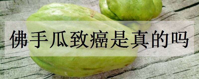 佛手瓜致癌是真的吗（为什么说佛手瓜致癌?是真的吗?）