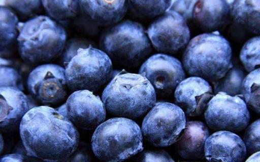蓝莓冬季施肥方法（蓝莓冬季施肥方法有哪些）