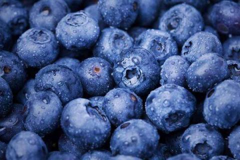 蓝莓可以一天吃一盒吗 蓝莓可以一天吃一盒吗有什么不好