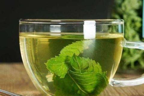 清肺喝什么茶好（排烟毒清肺喝什么茶好）