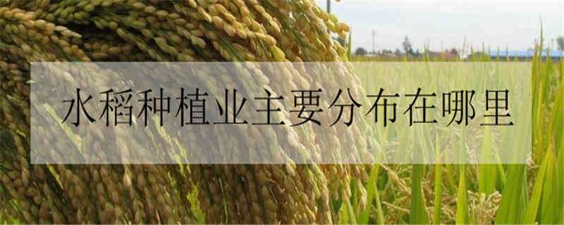 水稻种植业主要分布在哪里（水稻种植业地域类型）