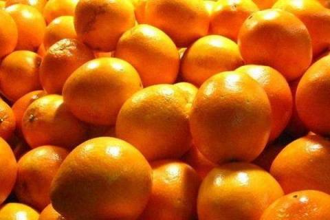 橙子挑选技巧有哪些 橙子应该怎么挑