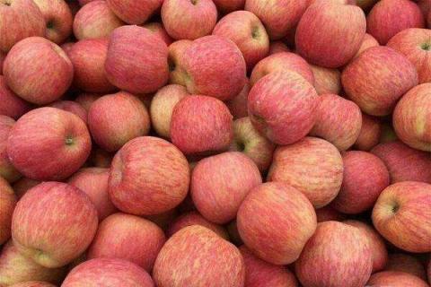 红富士苹果的营养价值及营养成分 红富士苹果吃了有什么功效