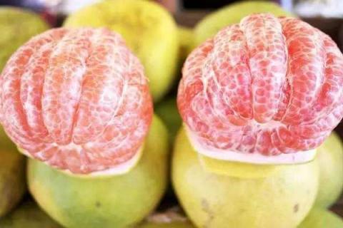 柚子功效与作用禁忌 食用方法有哪些