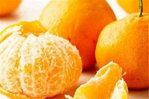 丑橘和粑粑柑哪个好吃（丑橘和粑粑柑哪个好吃?）