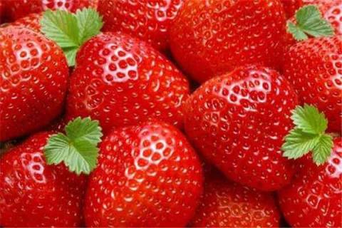 草莓的功效与作用 草莓的功效与作用及副作用