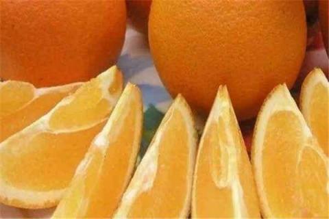 中国十大名橙排名 中国十大名橙是哪十个