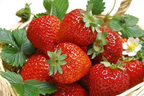 草莓的营养价值及营养成分 草莓的营养价值高不高
