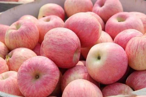 苹果是酸性还是碱性水果 苹果属于酸性还是碱性的水果