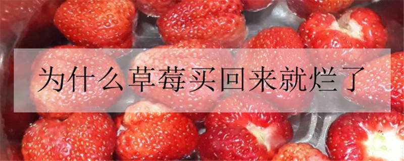 新鲜的草莓怎么清洗才能吃（新鲜的草莓怎么清洗才能吃视频）