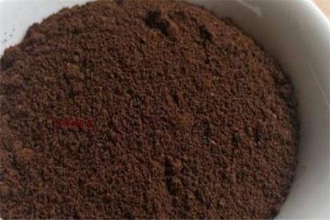 咖啡粉可以做肥料吗 过期的咖啡粉可以做肥料吗