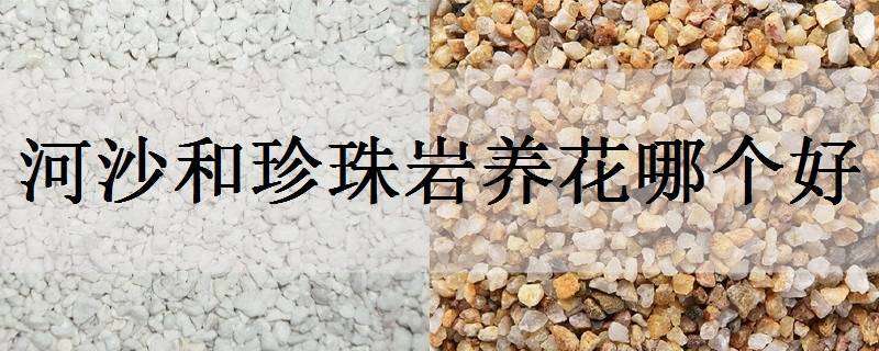 河沙和珍珠岩养花哪个好 河沙和珍珠岩养花哪个好用