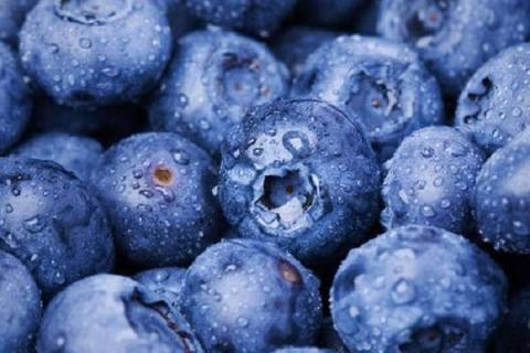 蓝莓应该吃酸的还是甜的 蓝莓应该吃酸的还是甜的呢