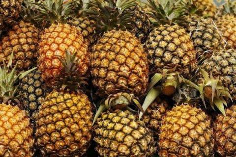 怎样挑菠萝（怎样挑菠萝蜜）