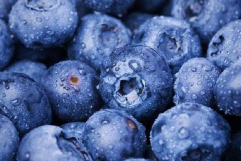 蓝莓施肥的最佳时间 施哪些肥料好